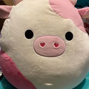 Meet your Posher, Monica